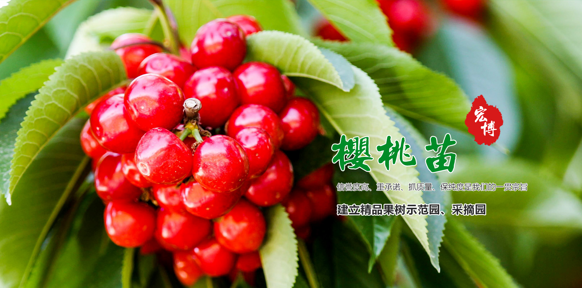 泰安市宏博农业科技有限公司 